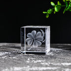 Display Crystal Cubes